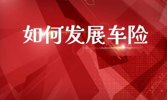 如何发展车险_https://cj002.lansai.wang_保险问答_第1张