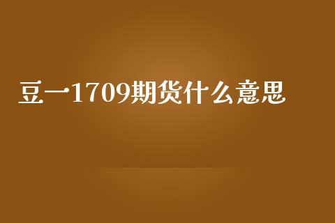 豆一1709期货什么意思_https://cj002.lansai.wang_股市问答_第1张