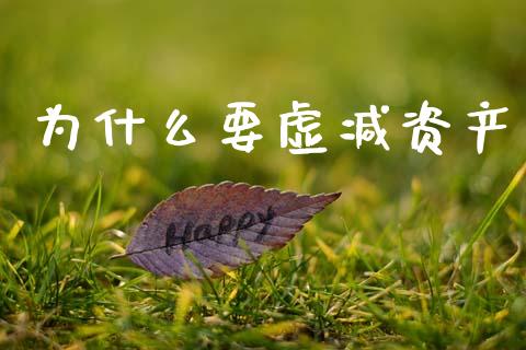 为什么要虚减资产_https://cj002.lansai.wang_会计问答_第1张