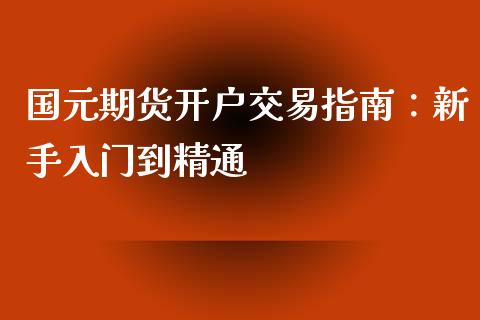 国元期货开户交易指南：新手入门到精通_https://cj002.lansai.wang_保险问答_第1张
