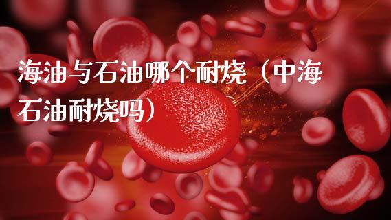 海油与石油哪个耐烧(中海石油耐烧吗)_金融问答_第1张_财经百问网 海油与石油哪个耐烧(中海石油耐烧吗)_https://cj002.lansai.wang_金融问答_第1张