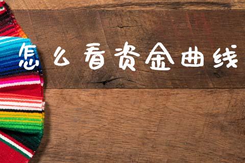 怎么看资金曲线_https://cj002.lansai.wang_会计问答_第1张