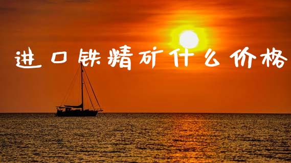 进口铁精矿什么价格_https://cj002.lansai.wang_期货问答_第1张