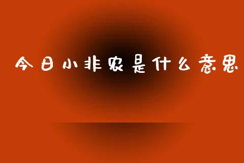今日小非农是什么意思_https://cj002.lansai.wang_财经问答_第1张