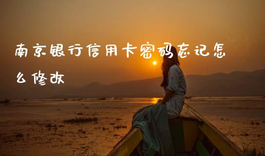 南京银行信用卡密码忘记怎么修改_https://cj002.lansai.wang_金融问答_第1张