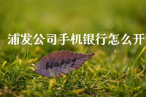 浦发公司手机银行怎么开_https://cj002.lansai.wang_金融问答_第1张