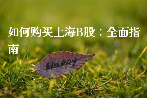 如何购买上海B股：全面指南_https://cj002.lansai.wang_金融问答_第1张