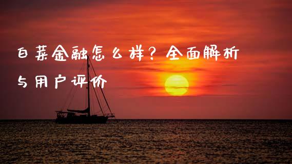 白菜金融怎么样？全面解析与用户评价_https://cj002.lansai.wang_期货问答_第1张