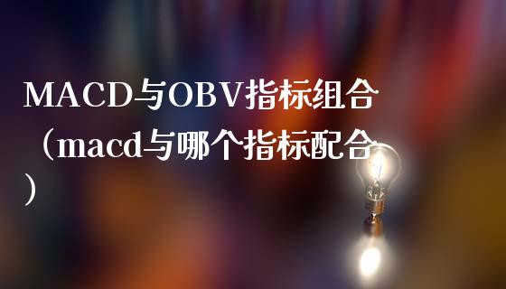 MACD与OBV指标组合（macd与哪个指标配合）_https://cj002.lansai.wang_财经问答_第1张