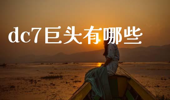 dc7巨头有哪些_https://cj002.lansai.wang_财经问答_第1张
