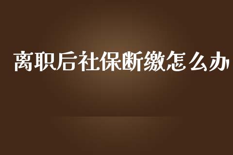 离职后社保断缴怎么办_https://cj002.lansai.wang_保险问答_第1张