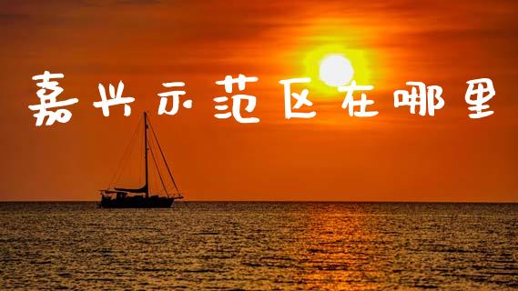 嘉兴示范区在哪里_https://cj002.lansai.wang_股市问答_第1张