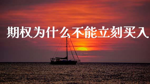 期权为什么不能立刻买入_https://cj002.lansai.wang_财经百问_第1张
