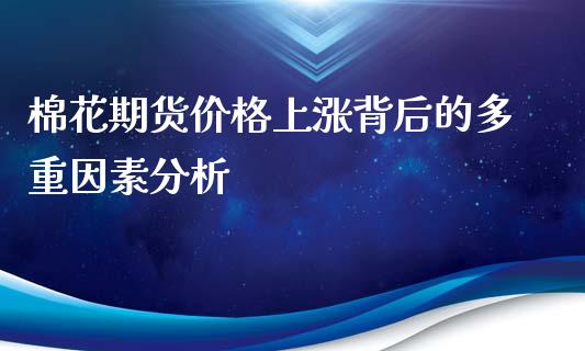 棉花期货价格上涨背后的多重因素分析_https://cj002.lansai.wang_理财问答_第1张