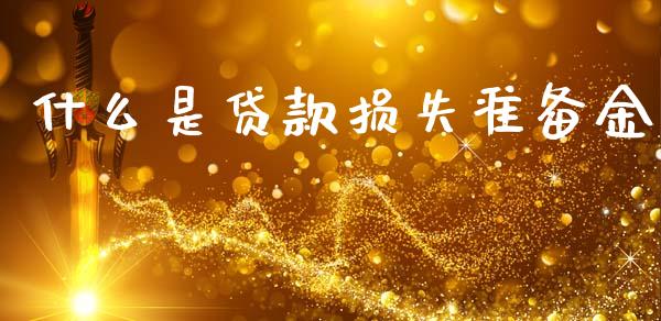 什么是贷款损失准备金_https://cj002.lansai.wang_会计问答_第1张
