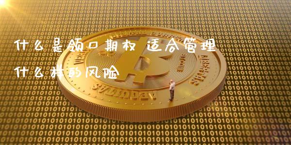 什么是领口期权 适合管理什么样的风险_https://cj002.lansai.wang_股市问答_第1张