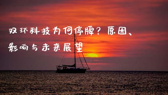 双环科技为何停牌？原因、影响与未来展望_https://cj002.lansai.wang_财经问答_第1张