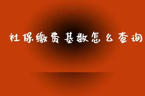 社保缴费基数怎么查询_https://cj002.lansai.wang_保险问答_第1张
