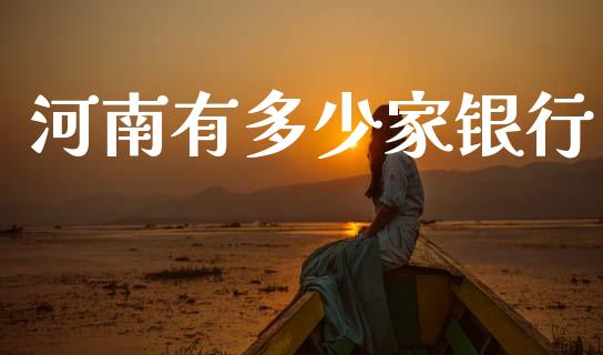河南有多少家银行_https://cj002.lansai.wang_金融问答_第1张