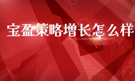 宝盈策略增长怎么样_https://cj002.lansai.wang_财经百问_第1张