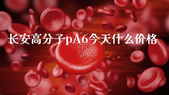 长安高分子pA6今天什么价格_https://cj002.lansai.wang_保险问答_第1张