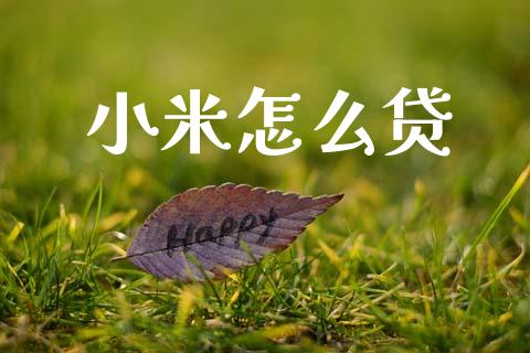 小米怎么贷_https://cj002.lansai.wang_财经百问_第1张