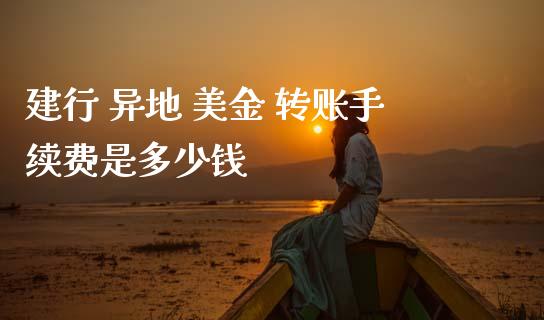 建行 异地 美金 转账手续费是多少钱_https://cj002.lansai.wang_财经问答_第1张