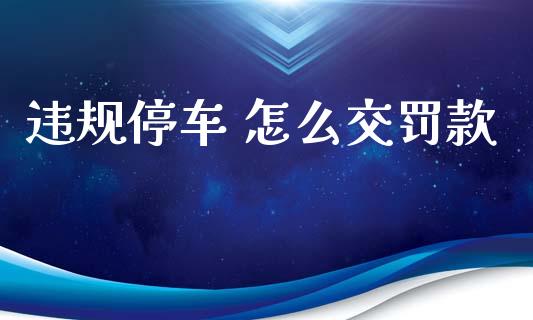 违规停车 怎么交罚款_https://cj002.lansai.wang_保险问答_第1张