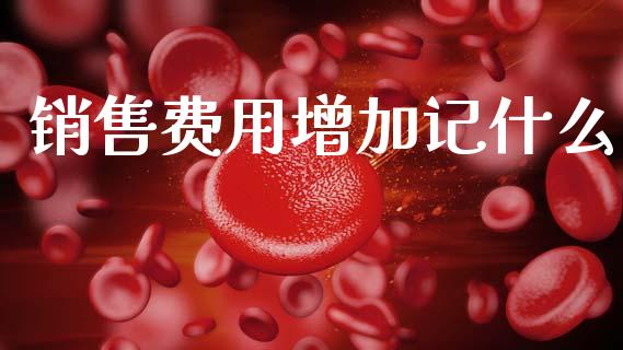 销售费用增加记什么_https://cj002.lansai.wang_会计问答_第1张