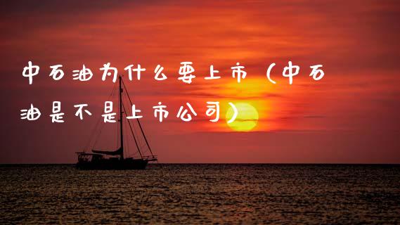 中石油为什么要上市（中石油是不是上市公司）_https://cj002.lansai.wang_期货问答_第1张