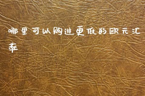 哪里可以购进更低的欧元汇率_https://cj002.lansai.wang_财经问答_第1张