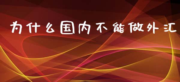 为什么国内不能做外汇_https://cj002.lansai.wang_财经百问_第1张