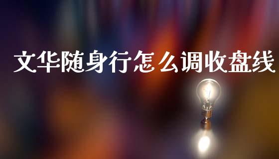 文华随身行怎么调收盘线_https://cj002.lansai.wang_期货问答_第1张