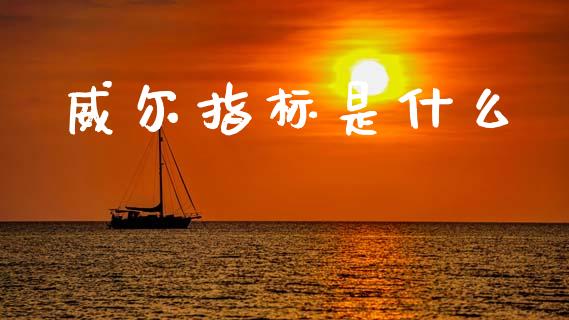 威尔指标是什么_https://cj002.lansai.wang_金融问答_第1张