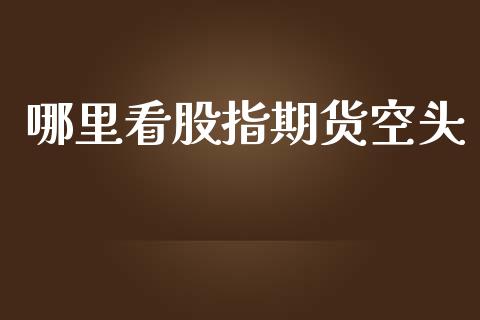 哪里看股指期货空头_https://cj002.lansai.wang_财经问答_第1张