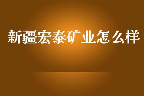 新疆宏泰矿业怎么样_https://cj002.lansai.wang_保险问答_第1张