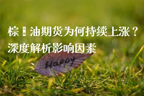 棕榈油期货为何持续上涨？深度解析影响因素_https://cj002.lansai.wang_会计问答_第1张