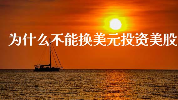 为什么不能换美元投资美股_https://cj002.lansai.wang_股市问答_第1张