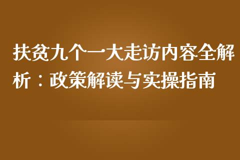 扶贫九个一大走访内容全解析：政策解读与实操指南_https://cj002.lansai.wang_理财问答_第1张