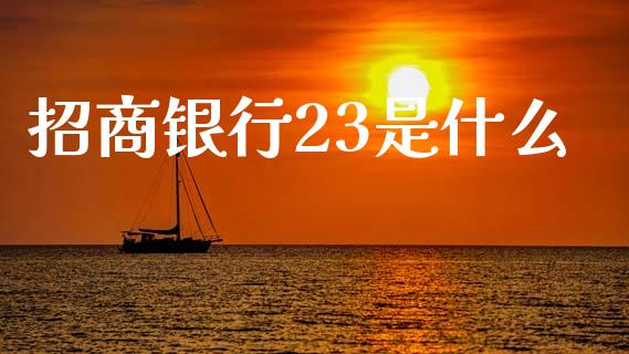 招商银行23是什么_https://cj002.lansai.wang_金融问答_第1张