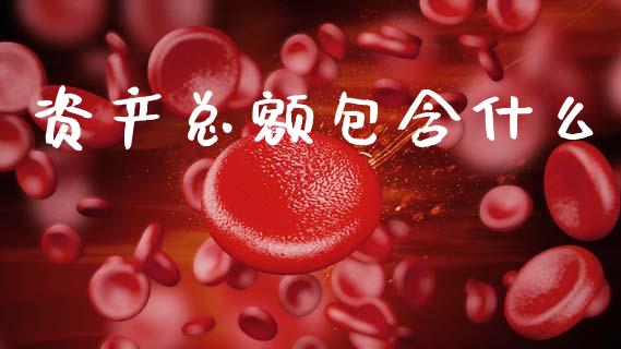 资产总额包含什么_https://cj002.lansai.wang_会计问答_第1张