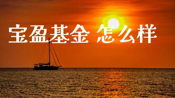 宝盈基金 怎么样_https://cj002.lansai.wang_理财问答_第1张