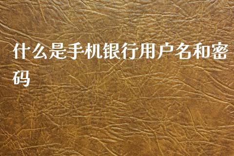 什么是手机银行用户名和密码_https://cj002.lansai.wang_金融问答_第1张