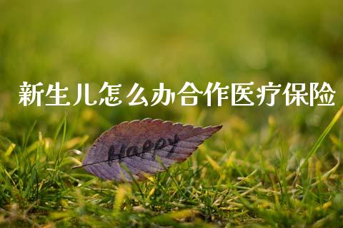 新生儿怎么办合作医疗保险_https://cj002.lansai.wang_保险问答_第1张