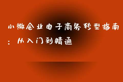 小微企业电子商务转型指南：从入门到精通_https://cj002.lansai.wang_保险问答_第1张
