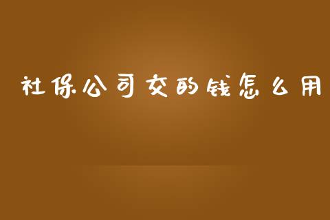 社保公司交的钱怎么用_https://cj002.lansai.wang_保险问答_第1张