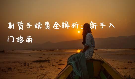 期货手续费全解析：新手入门指南_https://cj002.lansai.wang_财经百问_第1张