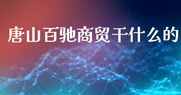 唐山百驰商贸干什么的_https://cj002.lansai.wang_期货问答_第1张