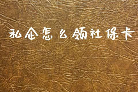 私企怎么领社保卡_https://cj002.lansai.wang_保险问答_第1张