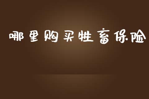 哪里购买牲畜保险_https://cj002.lansai.wang_保险问答_第1张